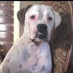 Meet your Posher, Jaâkyra